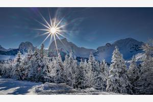 Sonnenstern Gegenlicht
