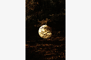 Gesprenkeltes Licht