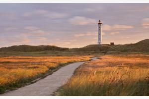 Good Morning Lighthouse Good Morning Lighthouse