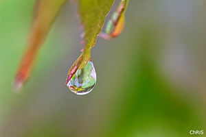 Goutte de pluie