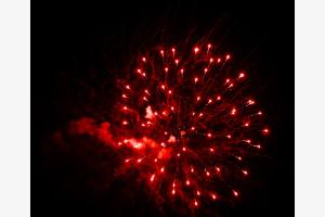 Silvester Silvester