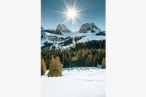 Sonnenstern über dem Gantrisch