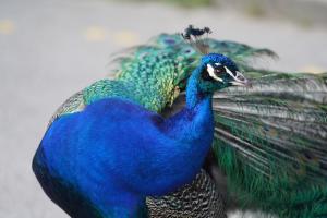 Farbenspiel Farbenspiel