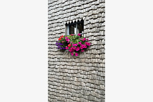 Blumenchistli