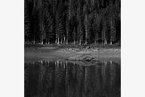 Stille - am Caumasee