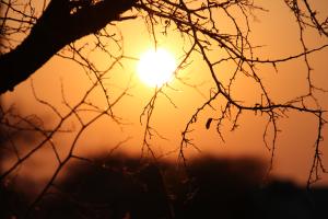 Abendsonne