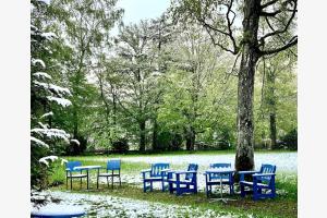 wundersame Atmosphäre im Schlosspark Könz