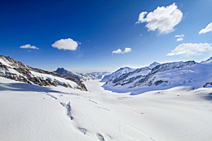White sea White sea
