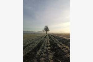 Ruhe im Belpmoos Ruhe im Belpmoos