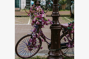 Blumenrad