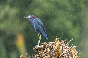  im Regen in Costa Rica 