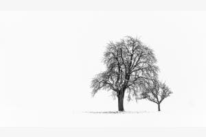 Stille im Schnee Stille im Schnee