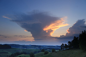 Wolkenpilz