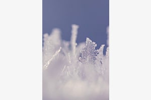 Eiskristall Eiskristall