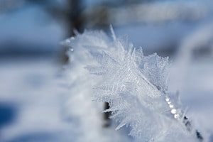 Eiskristalle Eiskristalle