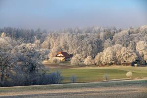 Am Waldrand Am Waldrand