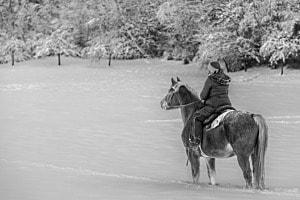 Der erste Schnee