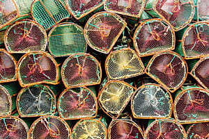 Fischer Werkzeuge