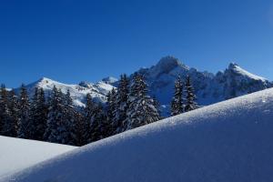 Glitzernder Neuschnee vor imposanter Bergkulisse