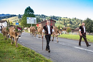Alpabzug