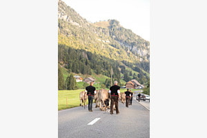 Runter ins Tal