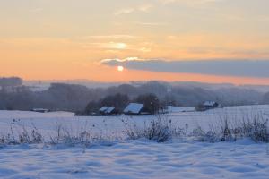 Winterschlaf