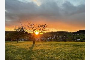 Prächtiger Sonnenuntergang