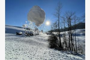 Schneemonster