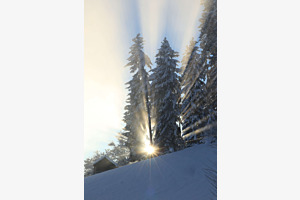Licht in der Kälte