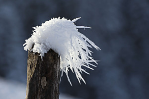 Eisfrisur