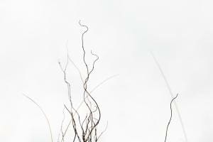 Minimal