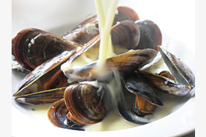 Muscheln