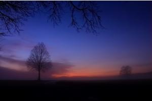 Abend-Nebelstimmung