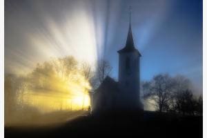 Gegenlicht Gegenlicht