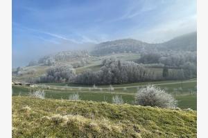 Stille in der Natur