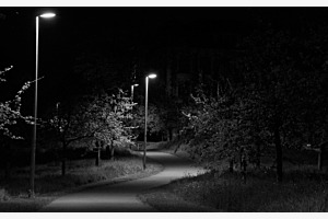 Nacht im Park