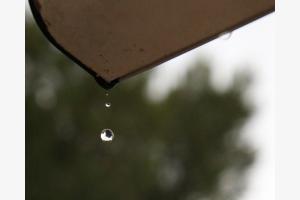 Three drops