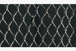 Icy fence