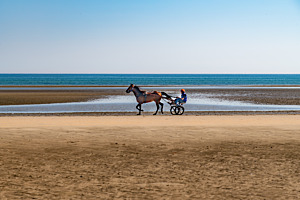 Jockey on the Beach