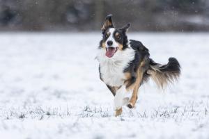 Happy running