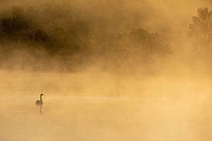 Bad im Nebel