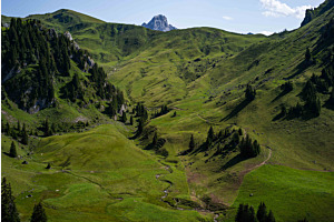 Stiereberg