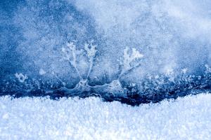 Eiswelt Eiswelt