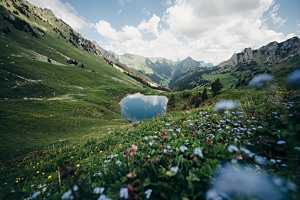 Schattigseeli