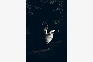Dancing in the Forest Dancing in the Forest