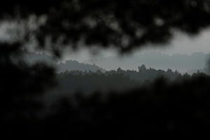 Les Alpilles