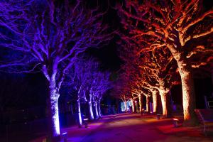 Lichtvestival Luzern - LILU Lichtvestival Luzern - LILU