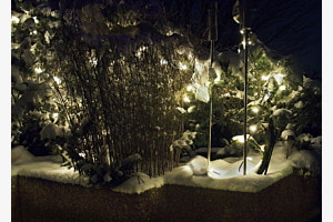 Lichter Lichter