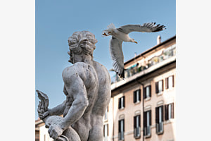Piazza Navona, Rom. Statue nervt sich ab dem Vogel. Piazza Navona, Rom. Statue nervt sich ab dem Vogel.