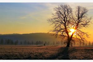 Guten Morgen! Guten Morgen!